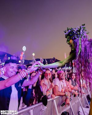 Image post by @nocturnalwland on Instagram