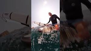 Video post by @gopro on YouTube