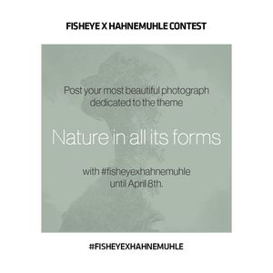 Image post by @hahnemuehle_imaging on Instagram