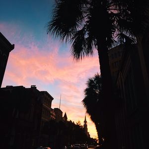 Image post by @collegeofcharleston on Instagram