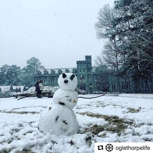 Image post by @gopetrelswlax on Instagram