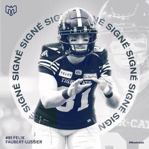 Image post by @mtlalouettes on Instagram