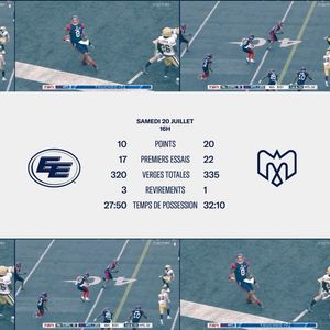 Image post by @mtlalouettes on Instagram