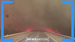 Video post by @newsnation on YouTube