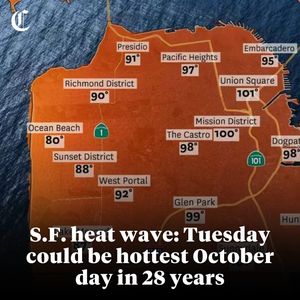 Image post by @sfchronicle on Instagram