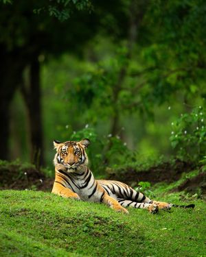 Image post by @discovery on Instagram