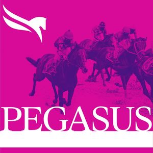 Image post by @pegasusworldcup on Instagram