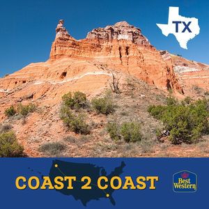 Image post by @bestwestern on Instagram