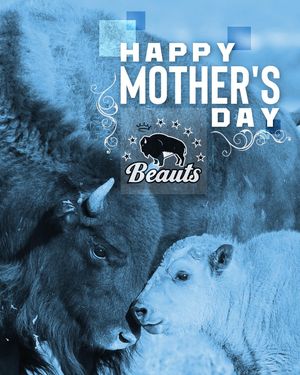 Image post by @buffalobeauts on Instagram