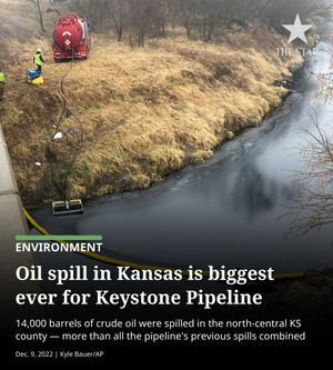 Image post by @thekansascitystar on Instagram