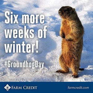 Image post by @farmcredit on Instagram