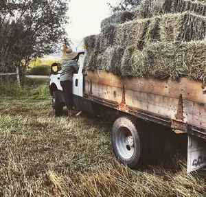 Image post by @farmcredit on Instagram