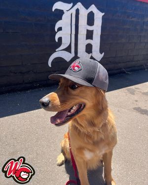 Image post by @walnutcreekcrawdads_ccl on Instagram