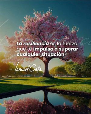 Image post by @ismaelcala on Instagram