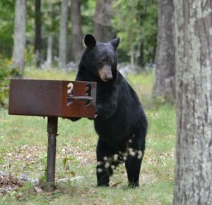 Image post by @nationalparkservice on Instagram