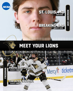 Image post by @luhockey_ncaa on Instagram