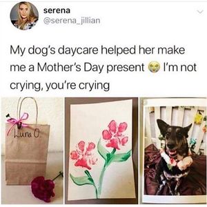 Image post by @yahoolifestyle on Instagram