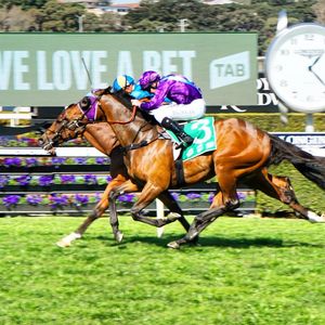 Image post by @australianturfclub on Instagram
