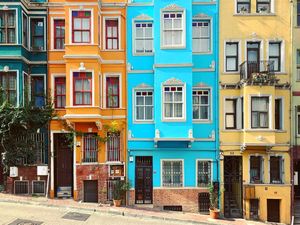 Image post by @alex_ander_salamander on Instagram