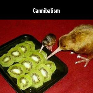 Image post by @9gag on Instagram