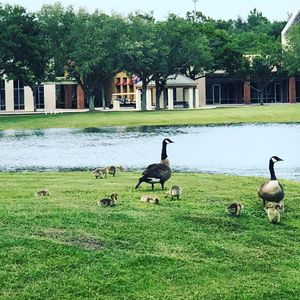 Image post by @golfhalloffame on Instagram
