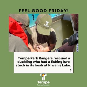 Image post by @tempeparksandrec on Instagram