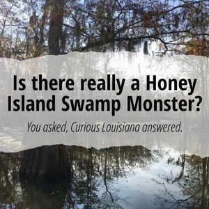 Image post by @nolanews on Instagram