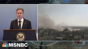 Video post by @msnbc on YouTube