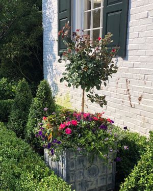 Image post by @lfshowhouse on Instagram