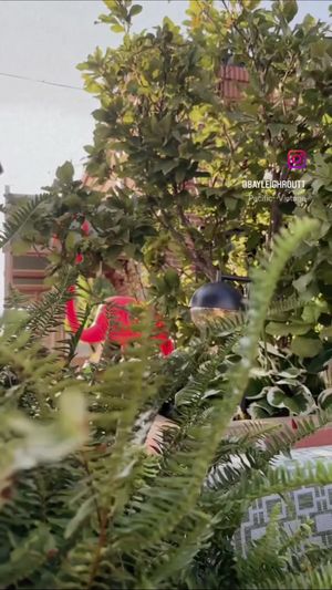 Video post by @bayleighroutt on TikTok
