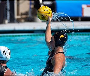 Image post by @lbsuwwp on Instagram