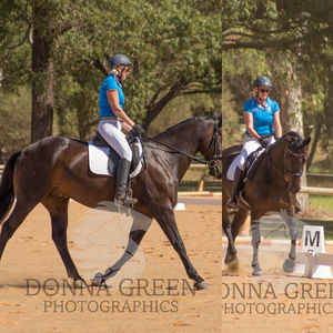 Image post by @first_bit_equine_ on Instagram