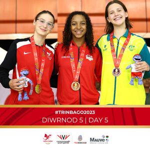 Image post by @team_wales on Instagram