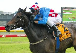 Image post by @australianturfclub on Instagram