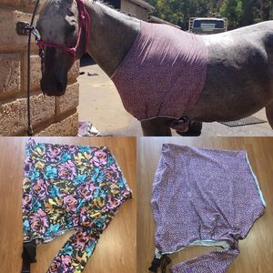 Image post by @flynhighhorsewear on Instagram