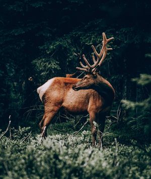 Image post by @trevorfrench on Instagram