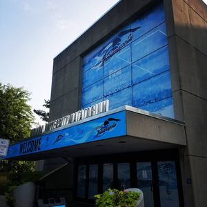 Image post by @arenausa on Instagram