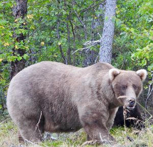 Image post by @nationalparkservice on Instagram
