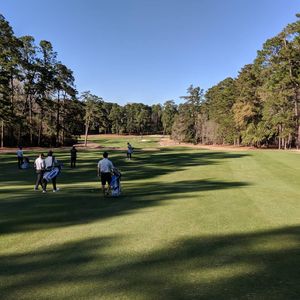 Image post by @memphismgolf on Instagram