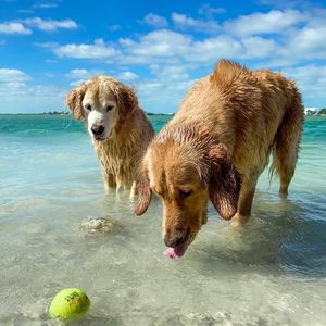 Image post by @thegoldenratio4 on Instagram