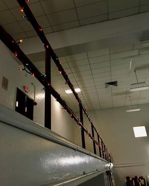 Image post by @fordhamswimdive on Instagram
