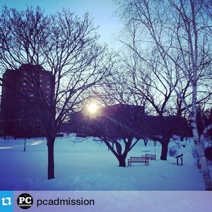 Image post by @pcwhockey on Instagram