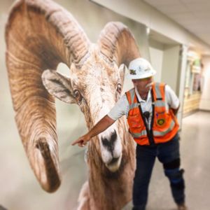 Image post by @csunaturalsciences on Instagram