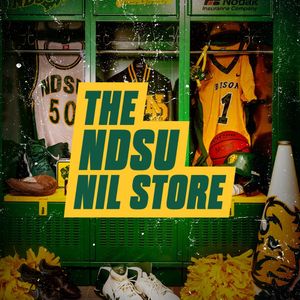 Image post by @ndsu.nil.store on Instagram