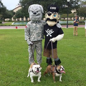 Image post by @csubucs on Instagram