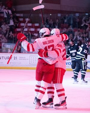 Image post by @lcunninghamcamera on Instagram