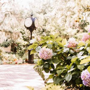 Image post by @collegeofcharleston on Instagram