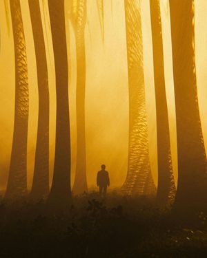 Image post by @unsplash on Instagram