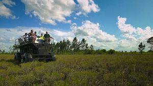 Video post by @visit central florida on YouTube