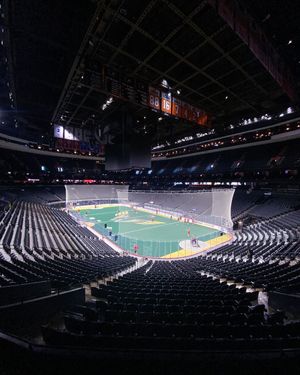 Image post by @nllwings on Instagram